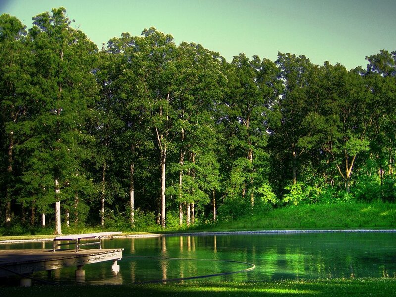 Wooded pond with dock