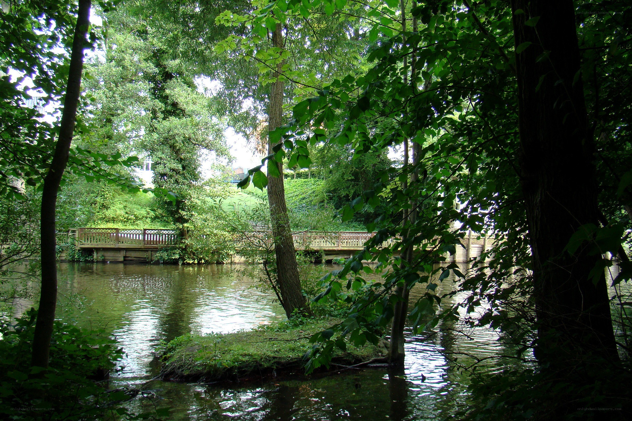 Wooded river with bridge
