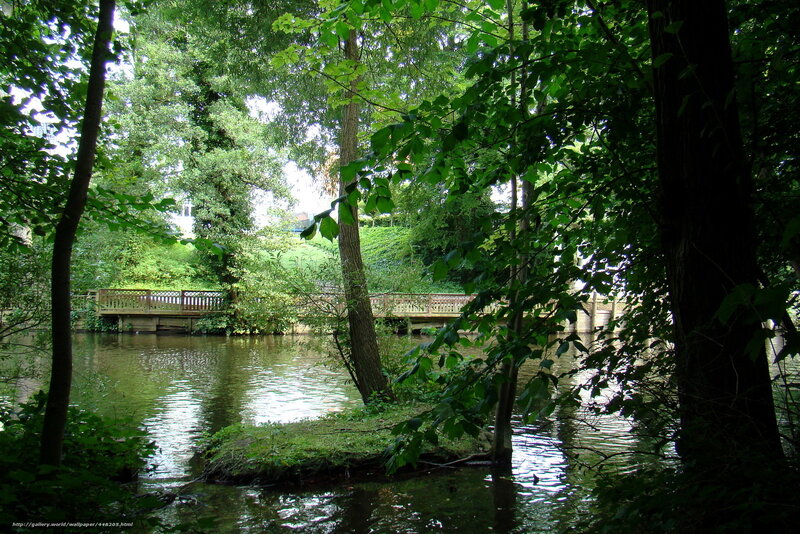 Wooded river with bridge