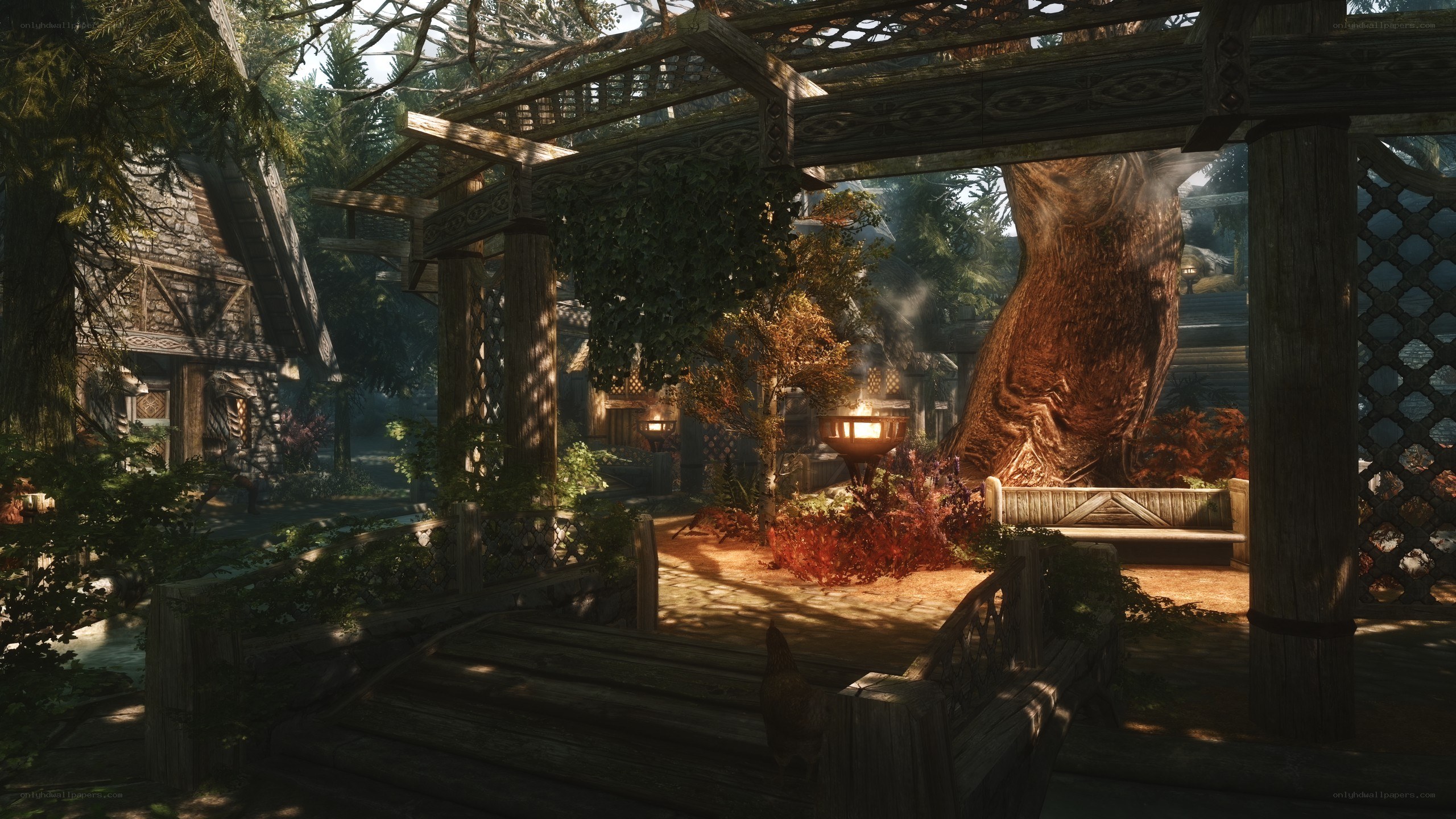 wooded village scene