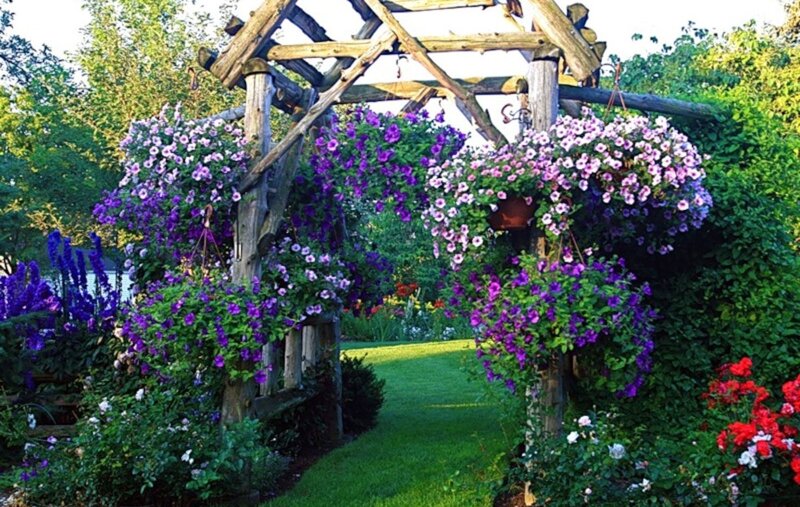 Wooden Arbor with Flowers