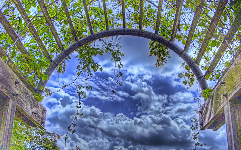 Wooden Arbor with Vines — Blue, Dramatic, Afternoon, Photograph