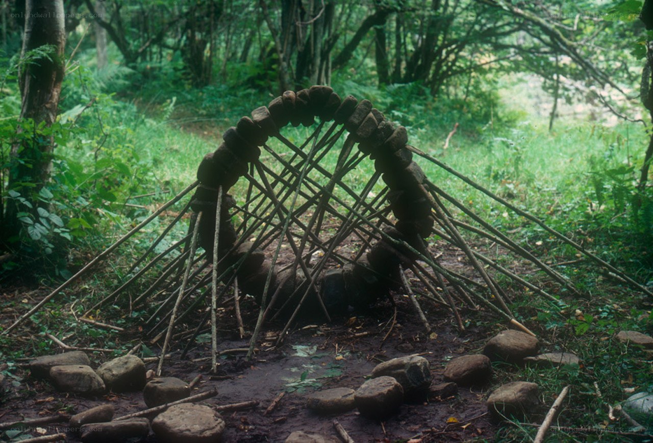 Wooden arch structure in forest
