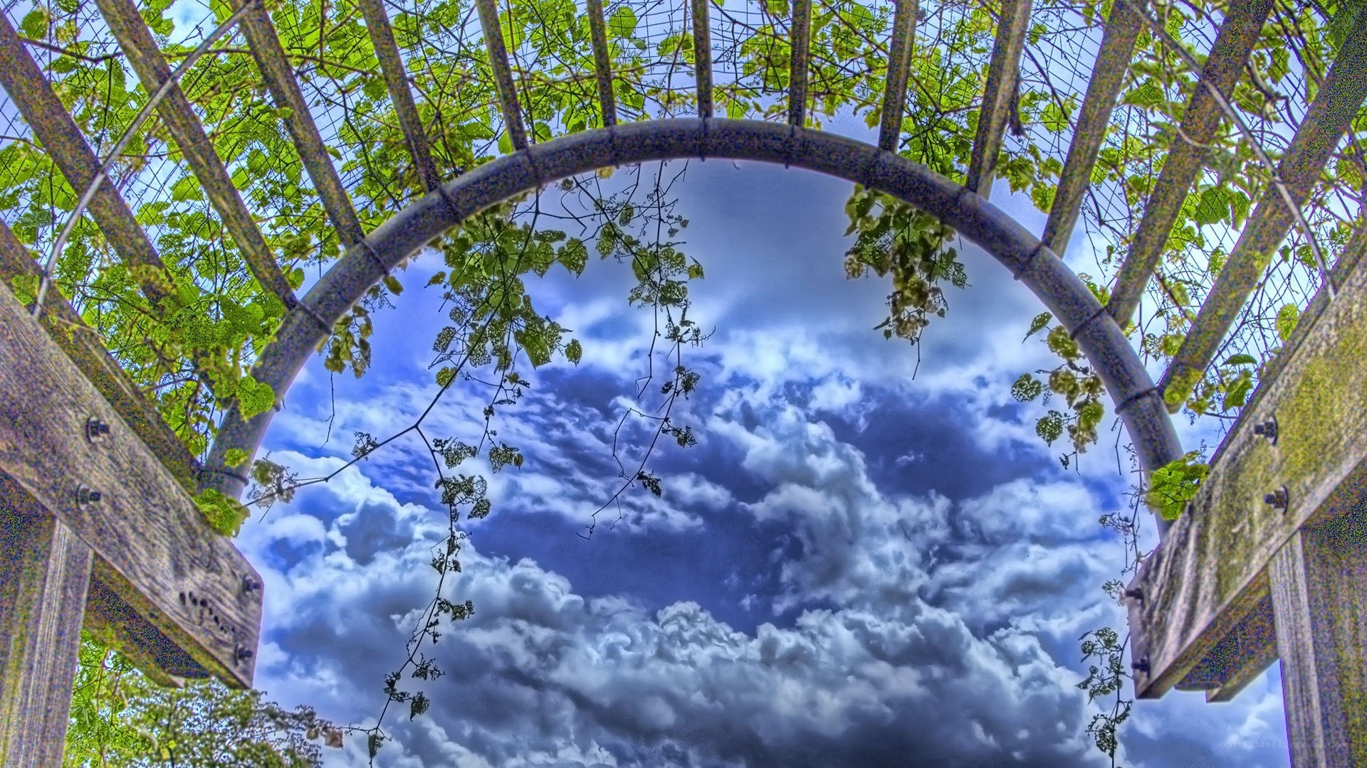 wooden arch with green leaves