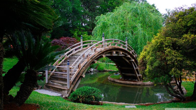 Wooden Arched Bridge — Green, Serene