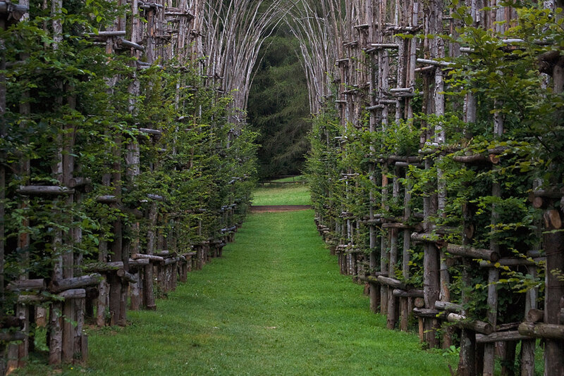 Wooden Archway Tunnel