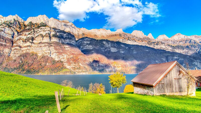Wooden Barn by Lake — Green
