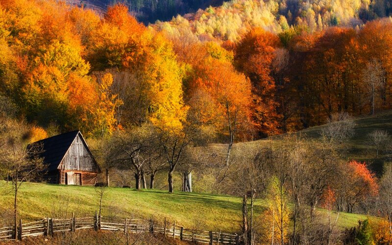Wooden Barn in Autumn — Orange, Serene, Photograph