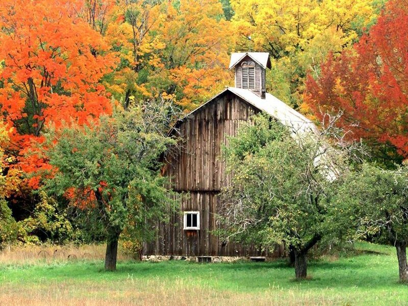 Wooden Barn in Autumn — Orange, Serene, Photograph, Trees
