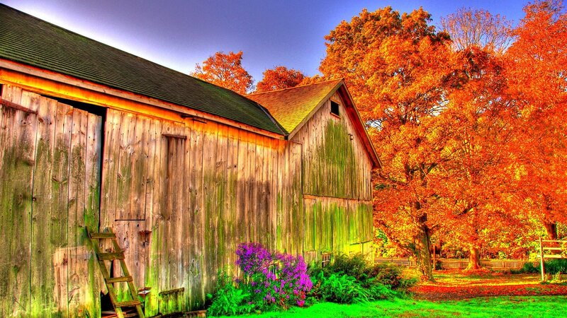 Wooden Barn in Autumn — Orange