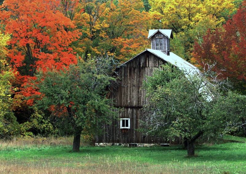 Wooden Barn in Autumn