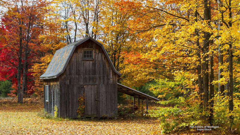 Wooden Barn in Autumn — Yellow