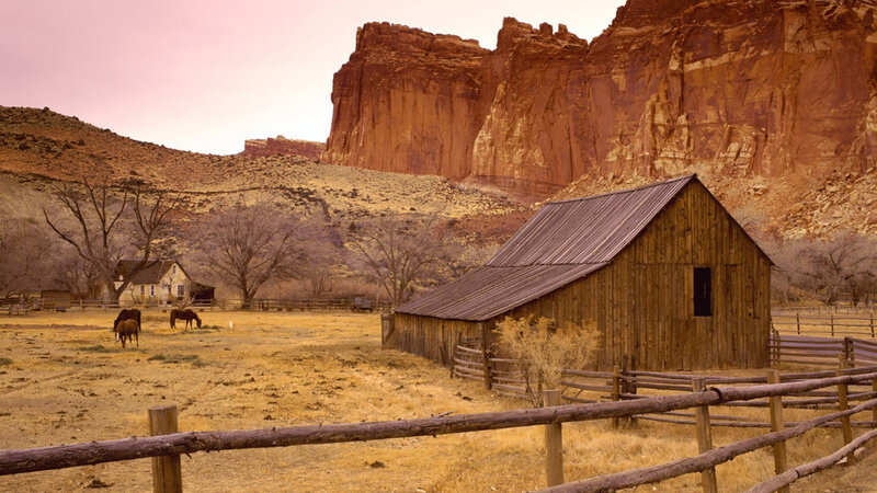Wooden Barn in Desert — Brown