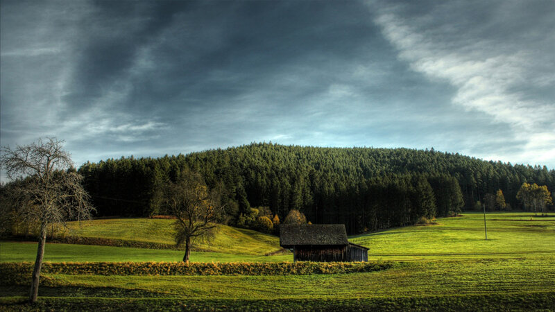 Wooden Barn in Field — Green, Dramatic, Afternoon