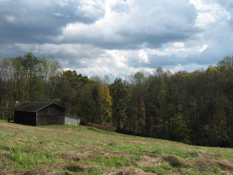 Wooden Barn in Field — Green, Dramatic