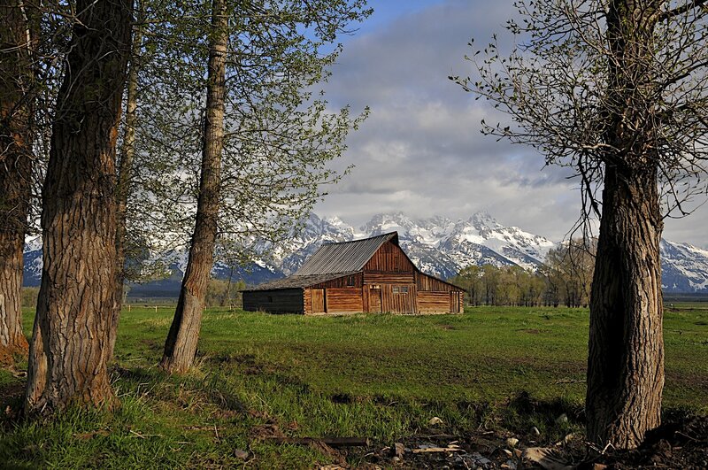 Wooden Barn in Field — Green, Serene, Spring
