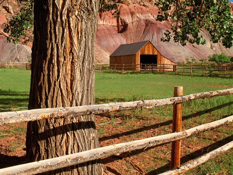 Wooden Barn in Field — Green, Serene