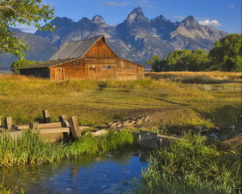 Wooden Barn in Field — Green