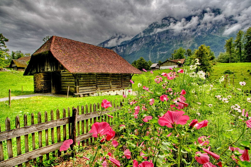 Wooden Barn in Meadow — Green