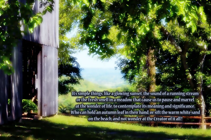 Wooden Barn in Meadow