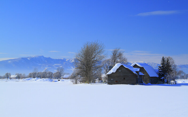 Wooden Barn in Snow — Blue, Serene
