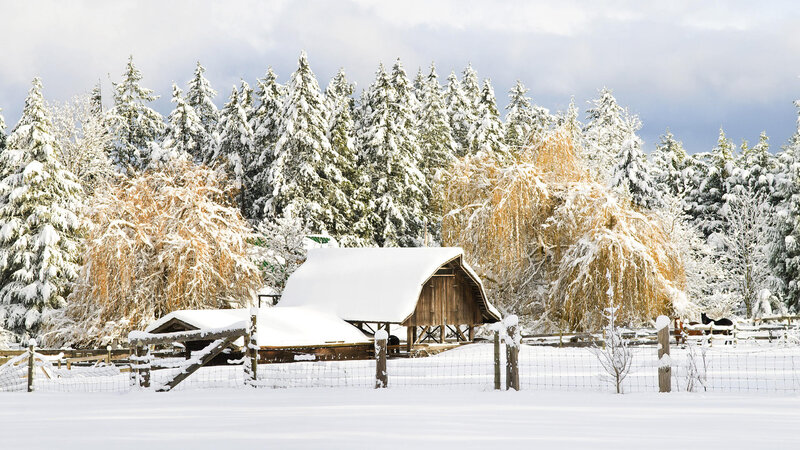 Wooden Barn in Snow — White, Serene, Winter