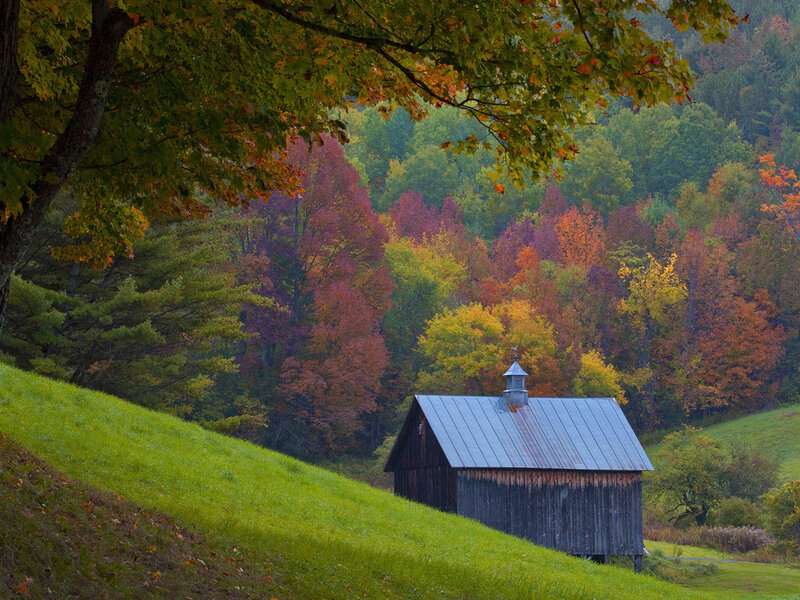 Wooden Barn on Hillside — Green, Serene