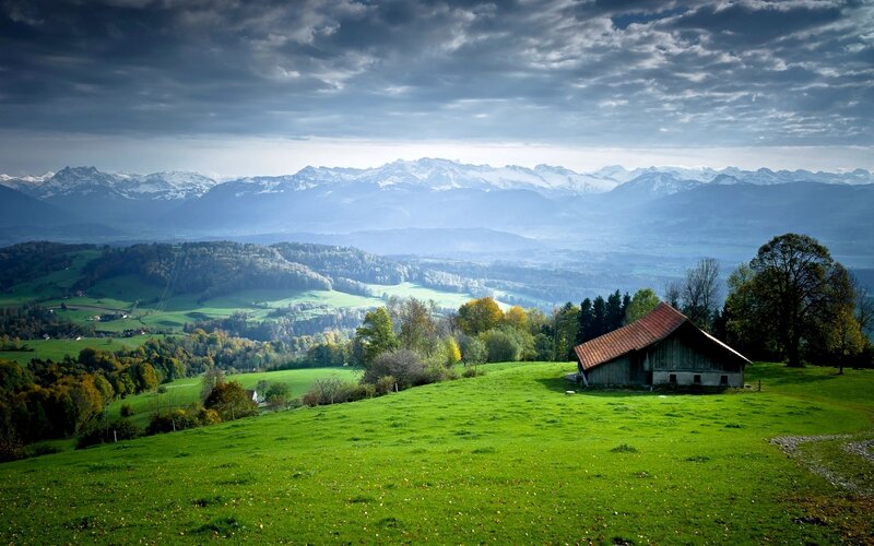 Wooden Barn on Hillside — Green
