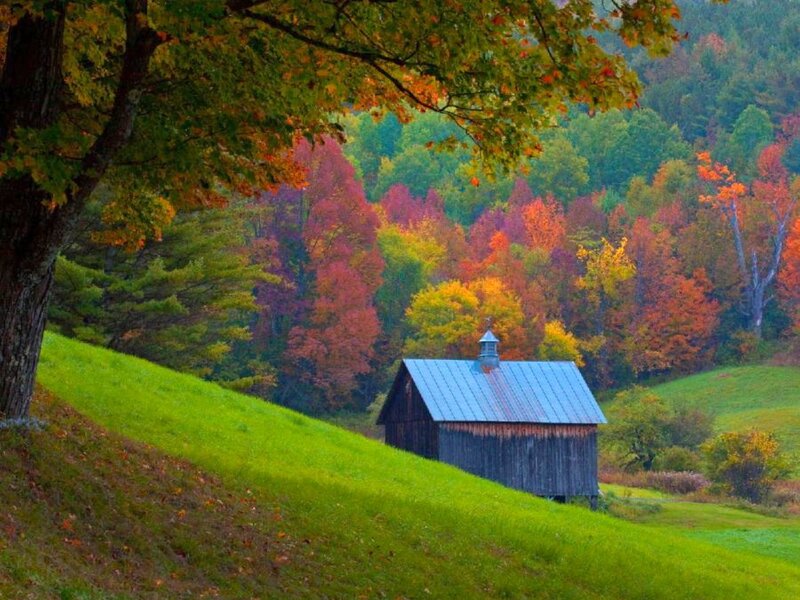 Wooden Barn on Hillside