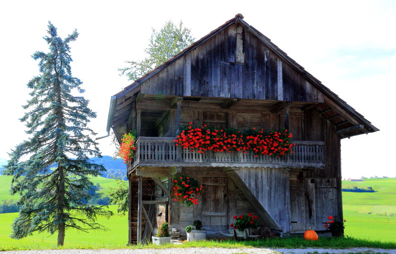 Wooden Barn with Flowers