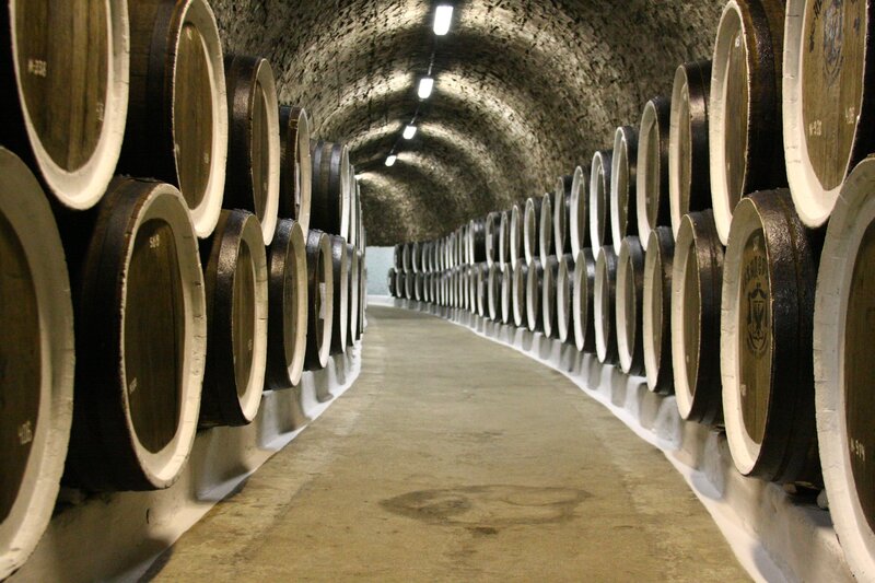 Wooden Barrels in Cellar — Brown, Calm