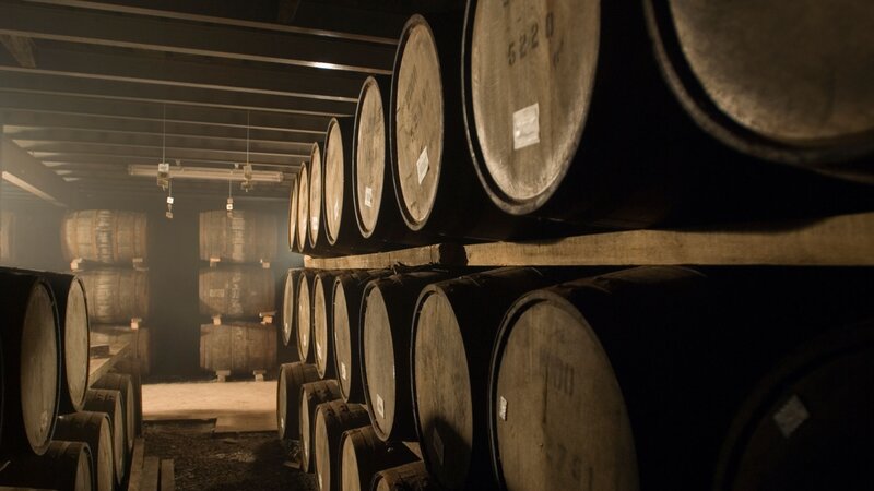 Wooden Barrels in Cellar — Brown, Dark