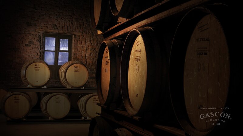 Wooden Barrels in Cellar — Brown, Dramatic, Night