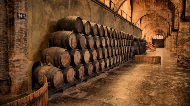 Wooden Barrels in Cellar — Brown, Dramatic, Photograph, Brick Walls, Arches