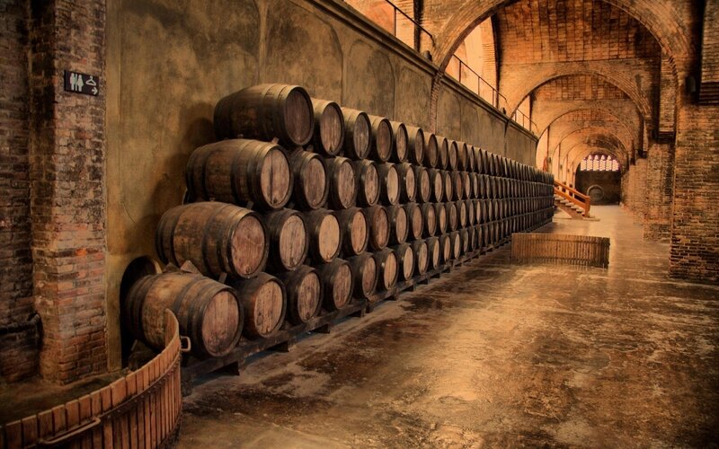 Wooden Barrels in Cellar — Brown, Dramatic, Photograph