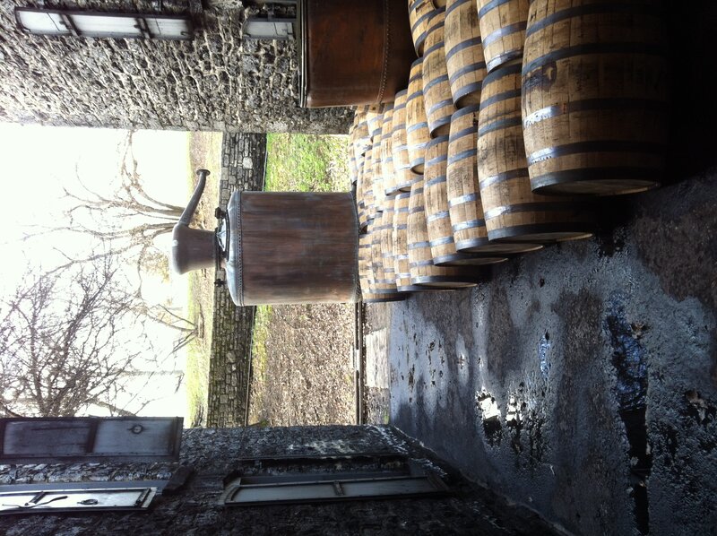 Wooden Barrels in Cellar — Brown, Dusty