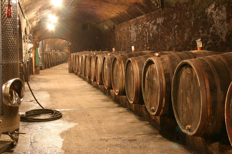 Wooden Barrels in Cellar — Brown