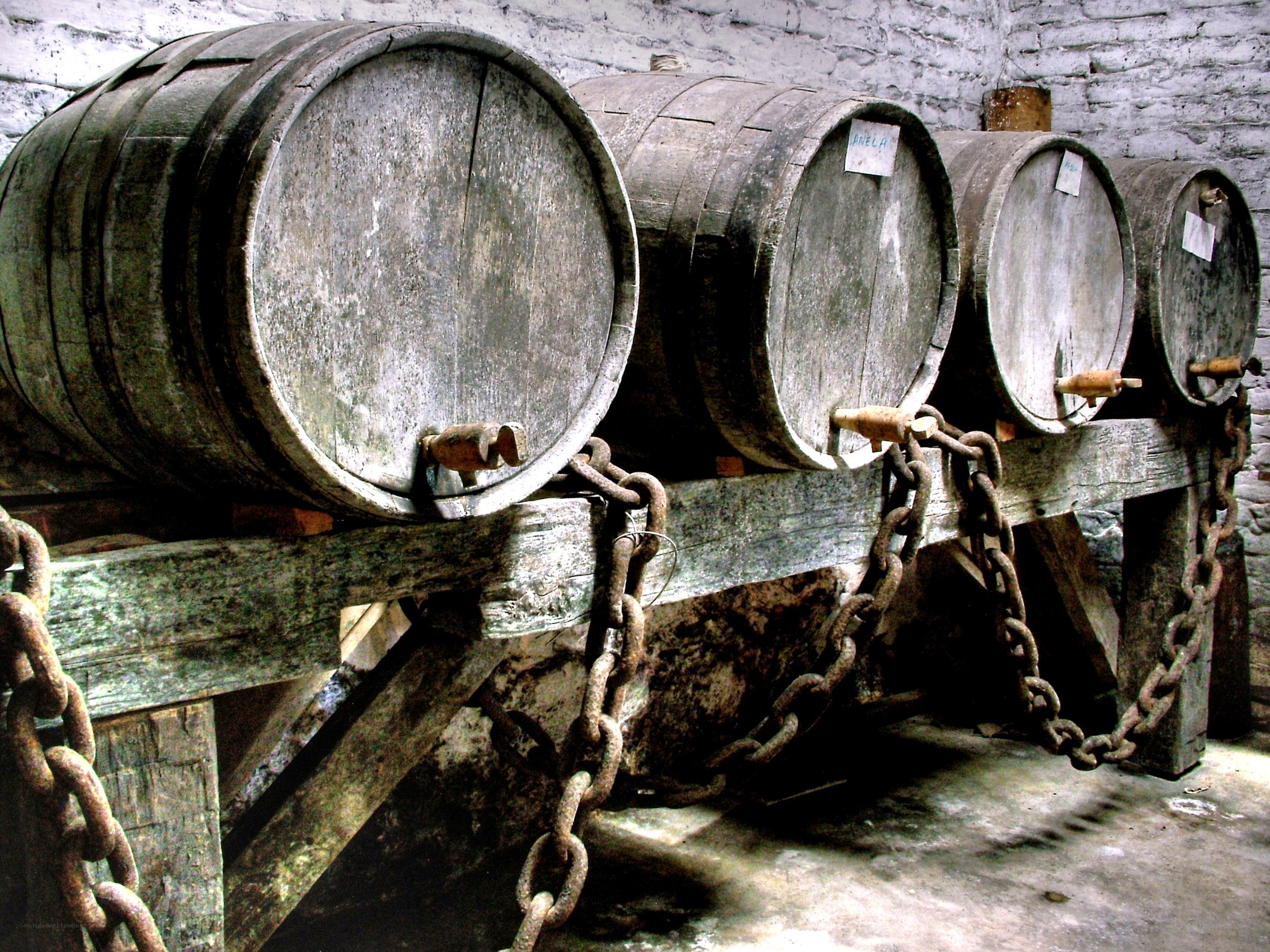 Wooden barrels in cellar