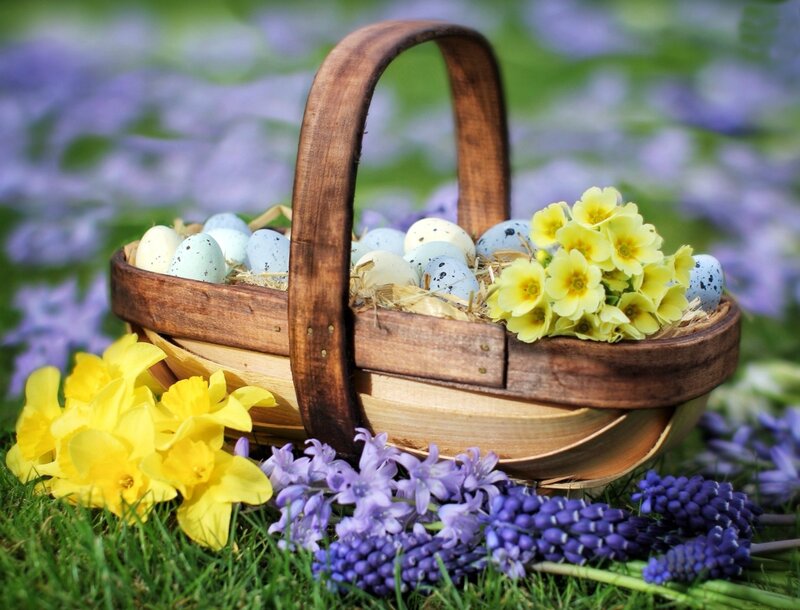 Wooden Basket with Eggs