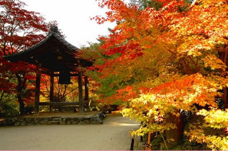 Wooden Bell Pavilion