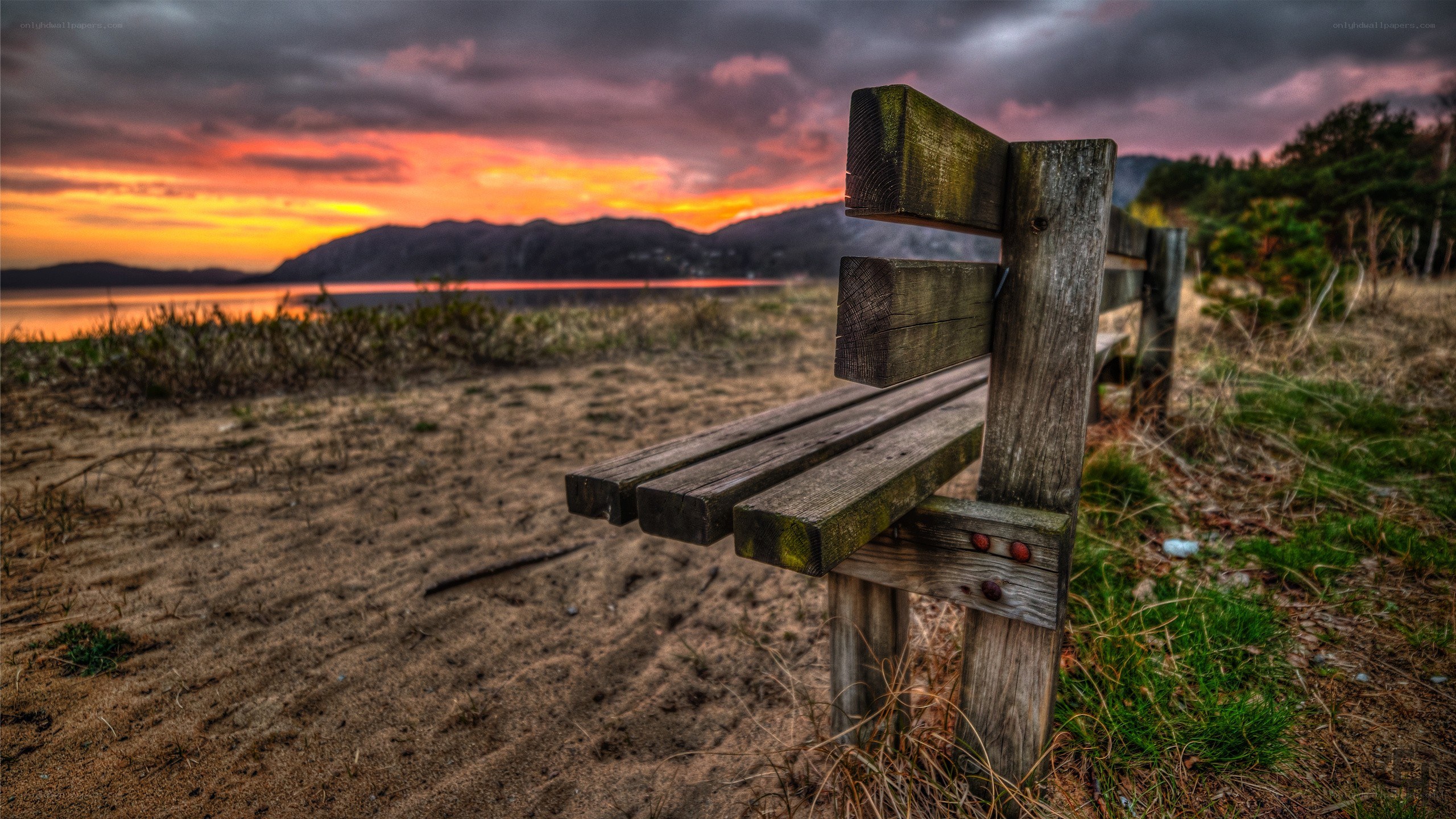 Wooden bench at sunset