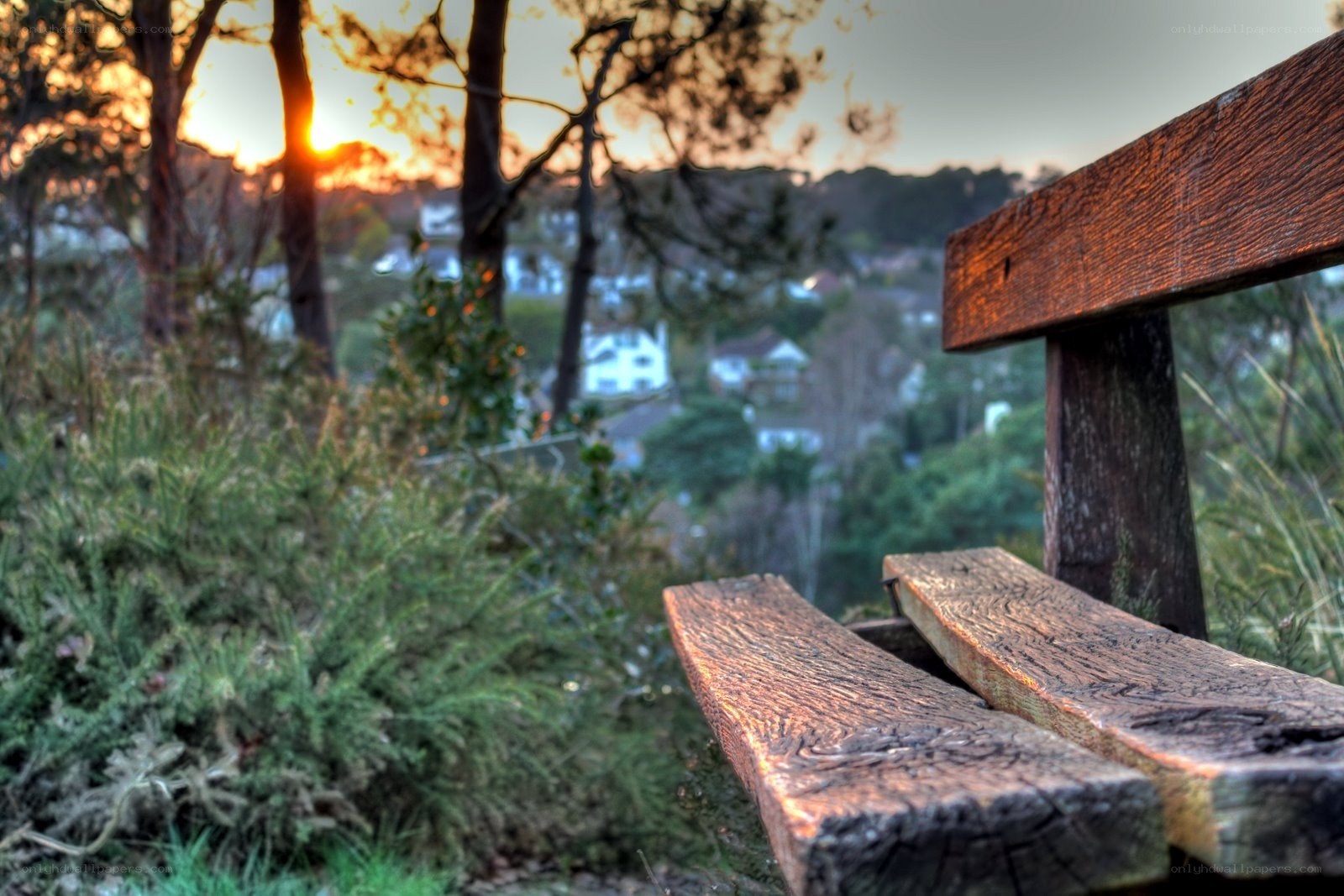 Wooden bench at sunset