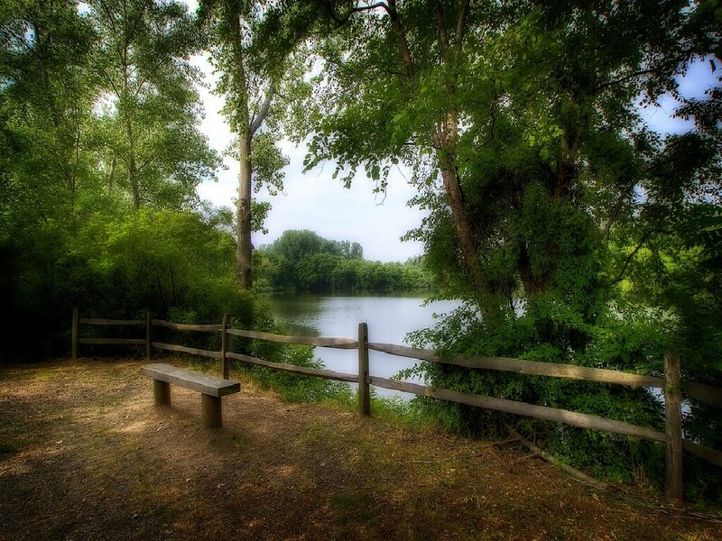 Wooden bench by a lake