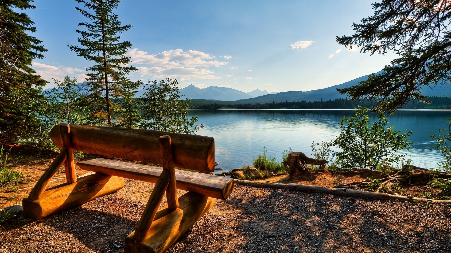 Wooden bench by a lake