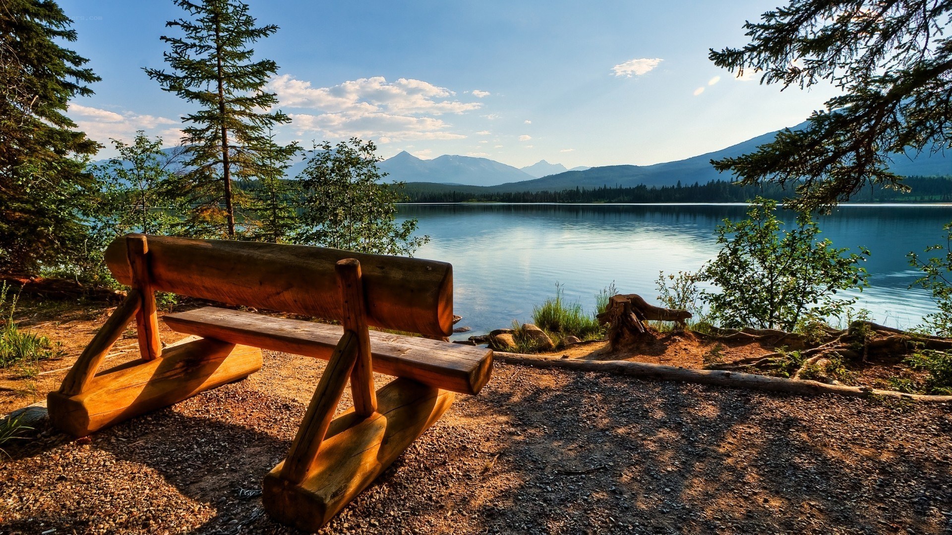 Wooden bench by a lake