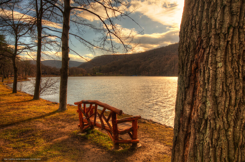 Wooden bench by a lake at sunset