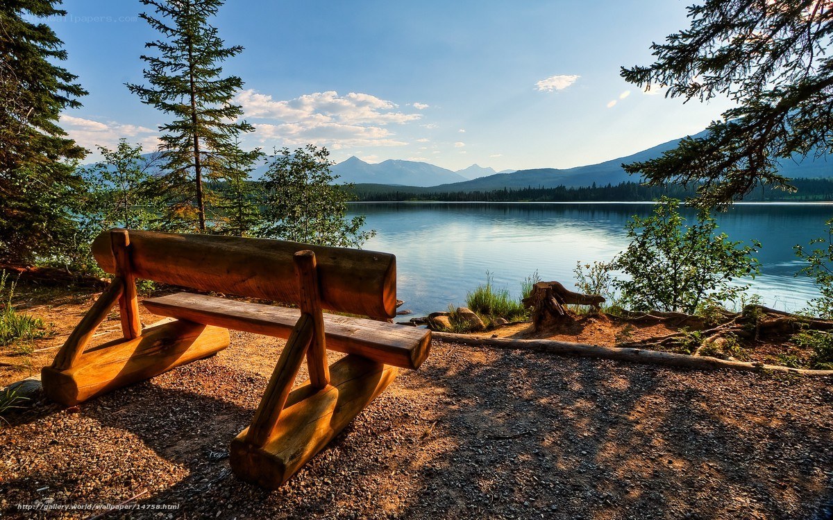 Wooden bench by a lake