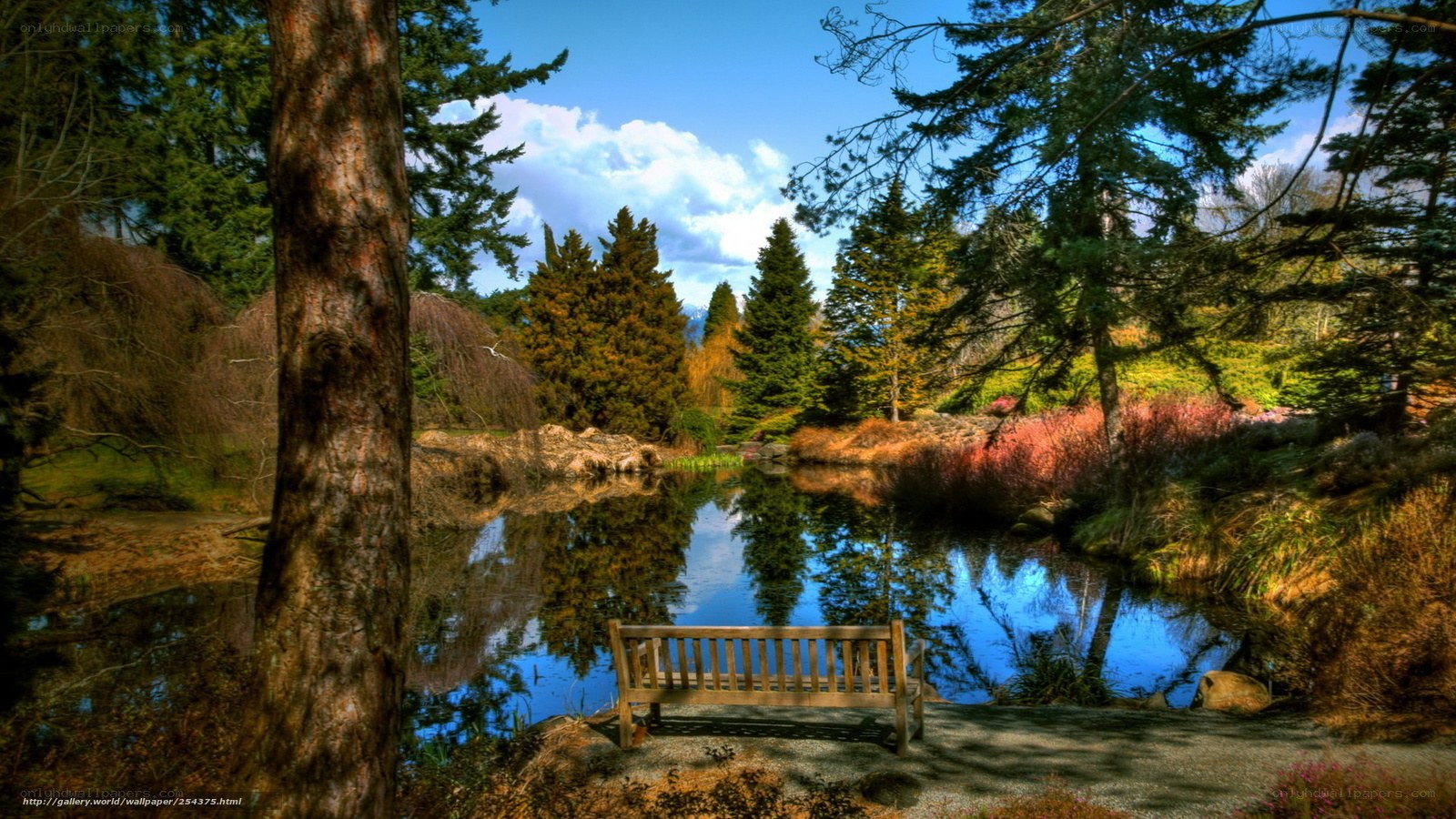 Wooden bench by a pond