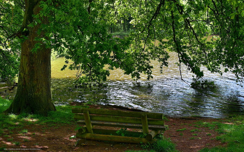 Wooden bench by a river