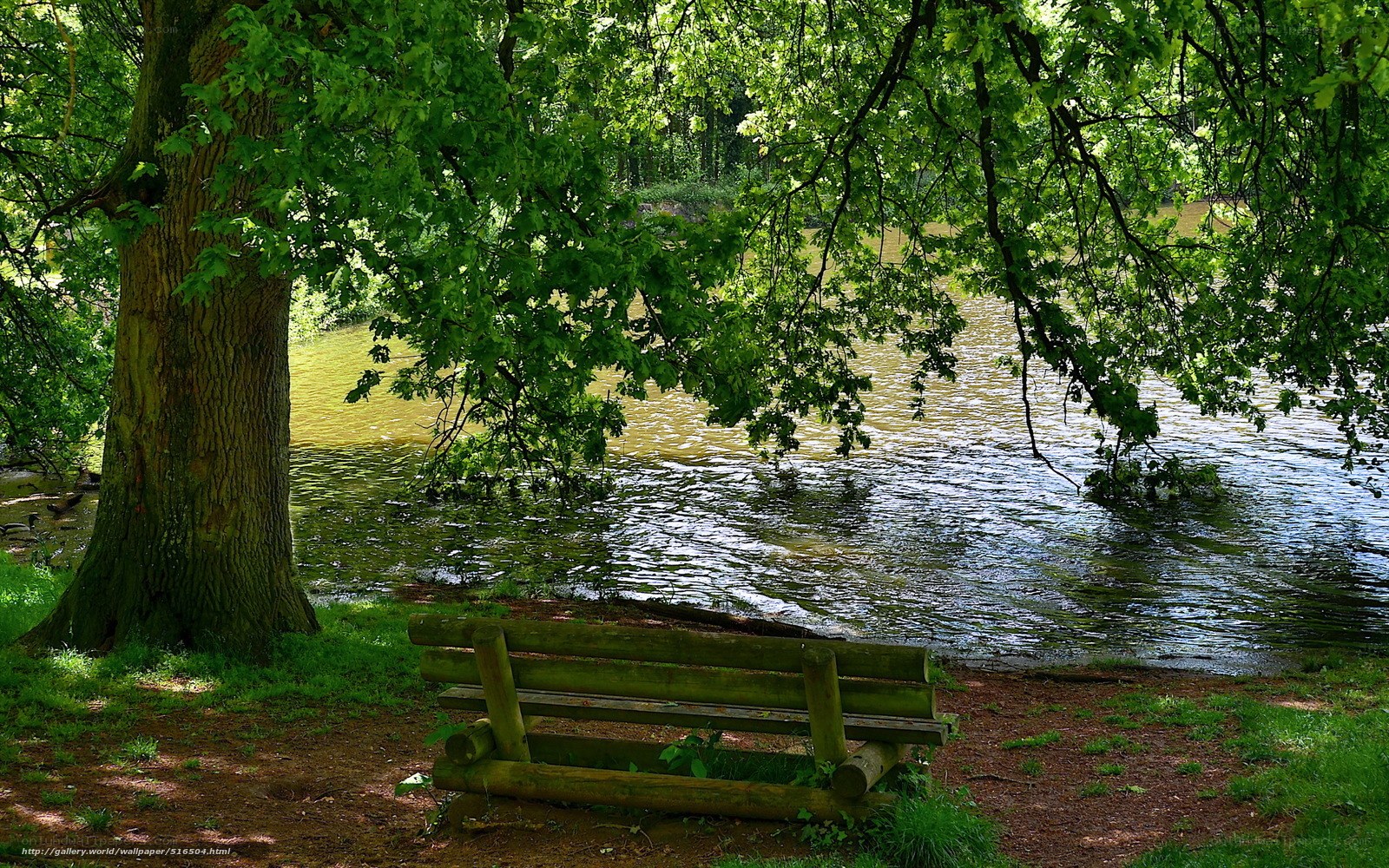Wooden bench by a river